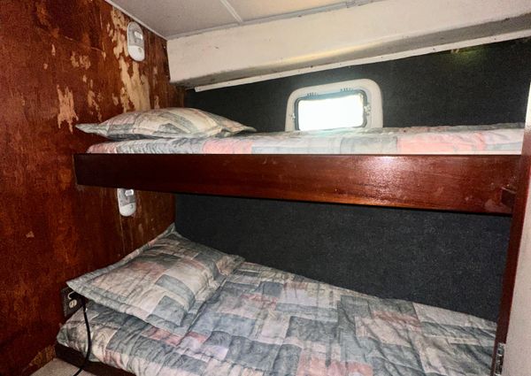 Bertram 38 Convertible image