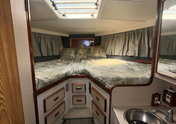 Bertram 38 Convertible image