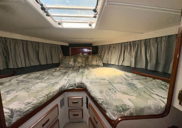 Bertram 38 Convertible image