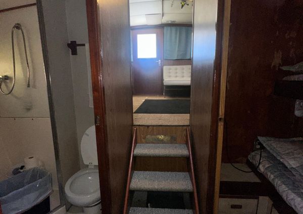 Bertram 38 Convertible image