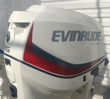 Evinrude E115DSL - main image