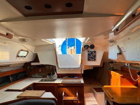 Hunter 310 image