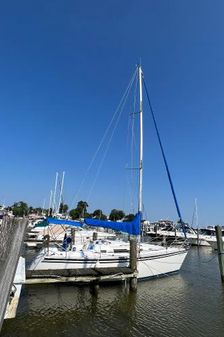 Hunter 310 image