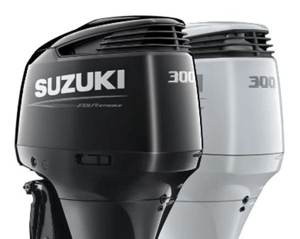 Suzuki DF300APXW5 image