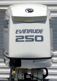 Evinrude 250hp 25