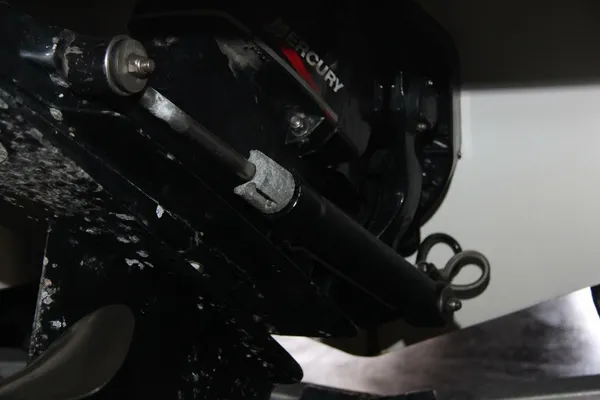 Chaparral 256 SSi image