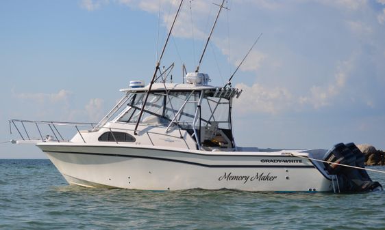 Grady-white 300-MARLIN image