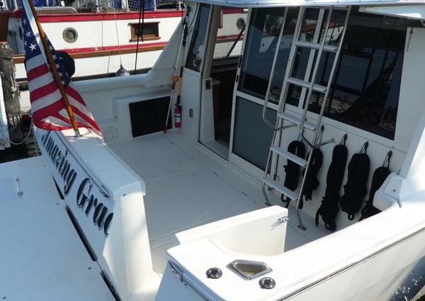 Meridian 490 Pilothouse image