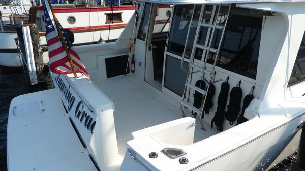 Meridian 490 Pilothouse image