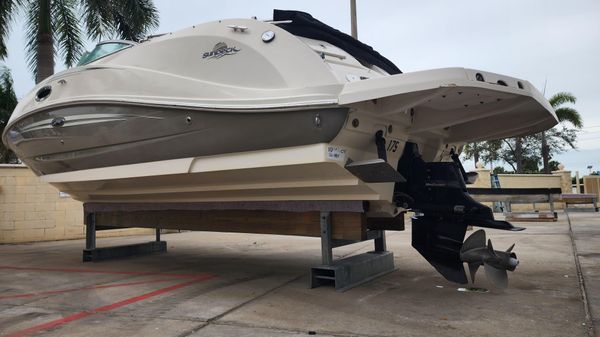 Sea Ray 260 Sundeck 