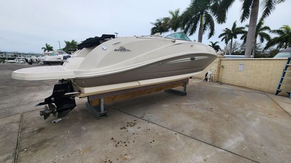 Sea-ray 260-SUNDECK image