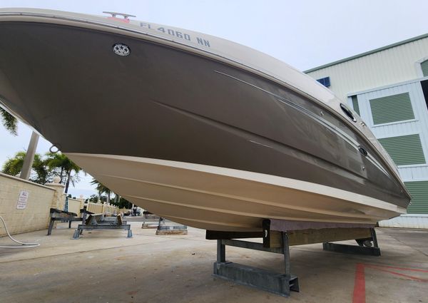 Sea-ray 260-SUNDECK image