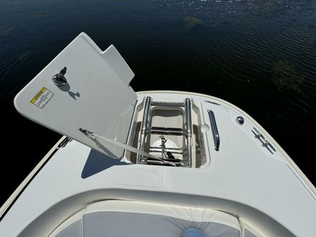 Boston Whaler 270 Dauntless image