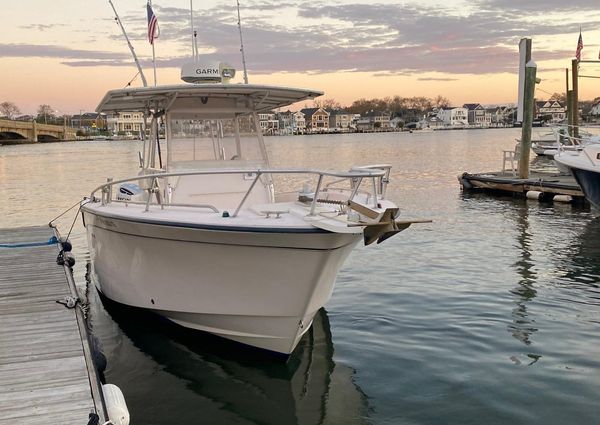 Grady-white 306-BIMINI image