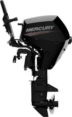 Mercury 20EH EFI - main image