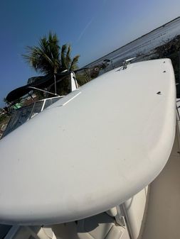 Cobia 240 image