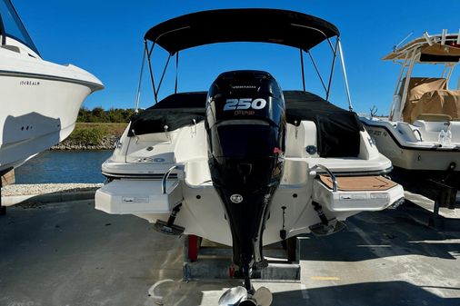 Sea Ray 220 Sundeck Outboard image