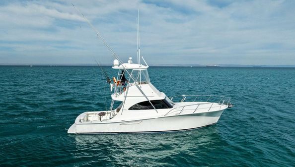 Viking 37 Billfish image