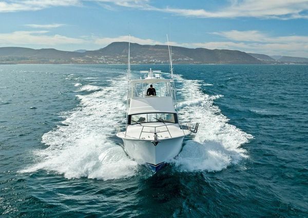 Viking 37 Billfish image