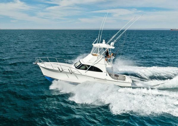 Viking 37 Billfish image