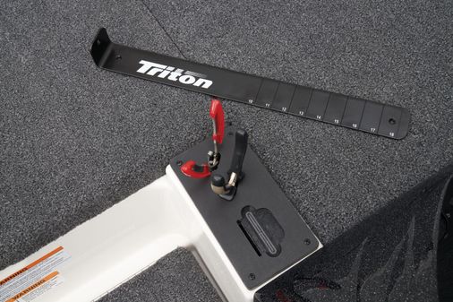 Triton 19-TRX image