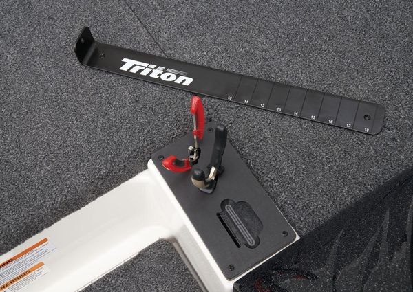 Triton 19-TRX image