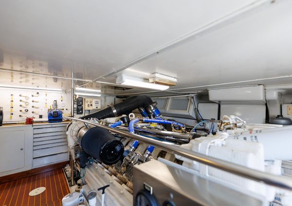 Tiffany Enclosed Bridge Sport fish image