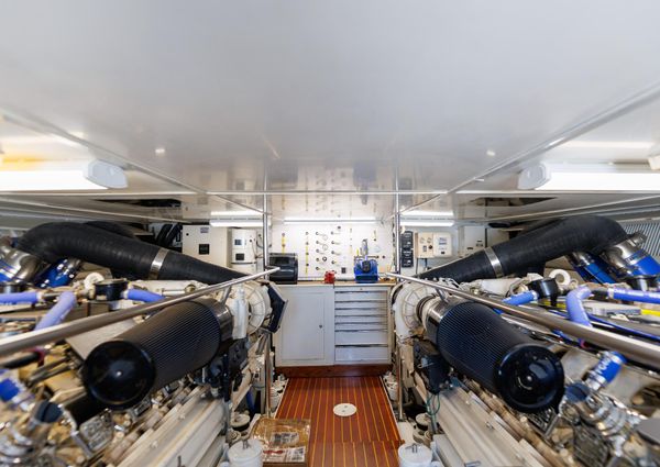 Tiffany Enclosed Bridge Sport fish image