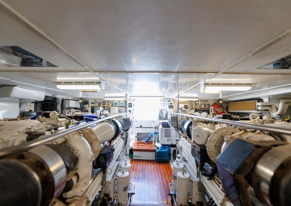 Tiffany Enclosed Bridge Sport fish image