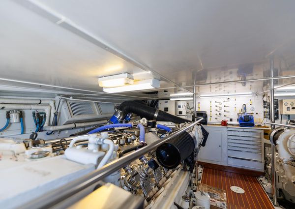 Tiffany Enclosed Bridge Sport fish image