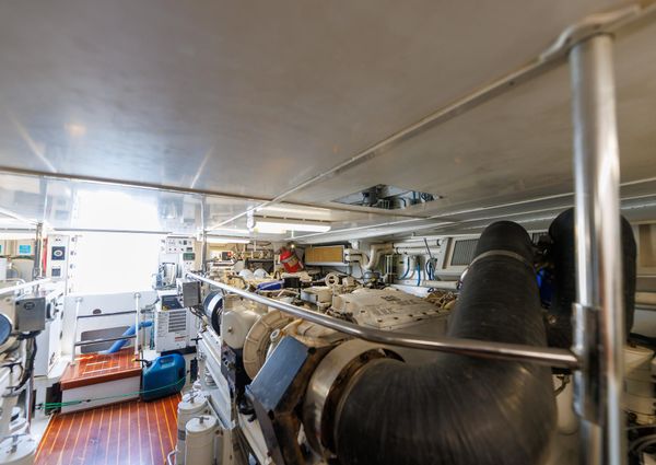 Tiffany Enclosed Bridge Sport fish image