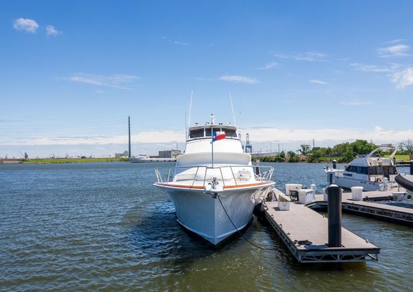 Tiffany Enclosed Bridge Sport fish image