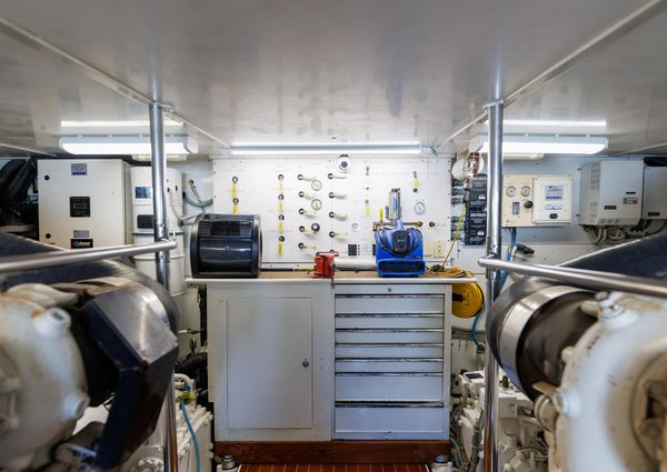 Tiffany Enclosed Bridge Sport fish image