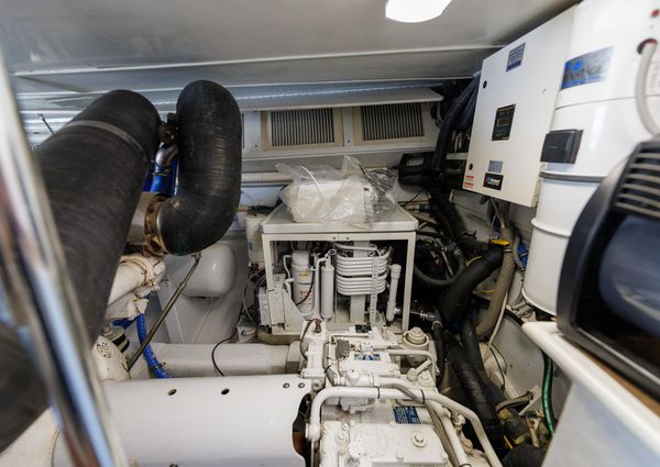 Tiffany Enclosed Bridge Sport fish image