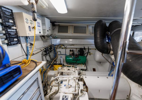 Tiffany Enclosed Bridge Sport fish image