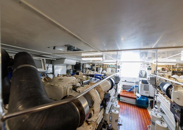 Tiffany Enclosed Bridge Sport fish image