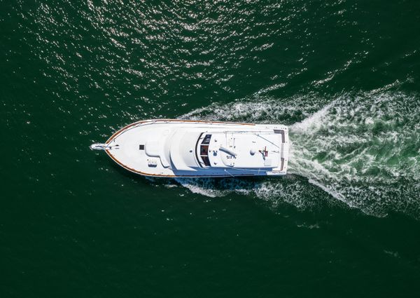 Tiffany Enclosed Bridge Sport fish image