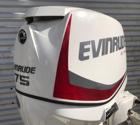 Evinrude E75DSLAF - main image