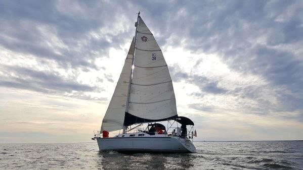 Freedom 35 (Pedrick) image