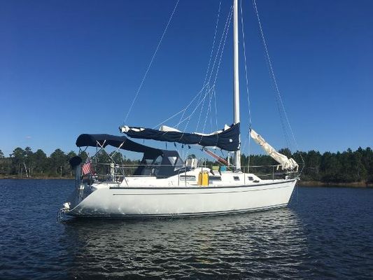 Freedom 35-PEDRICK- - main image