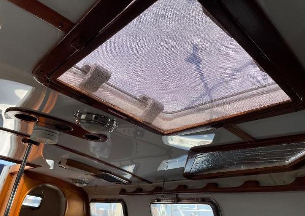 Freedom 35-PEDRICK- image