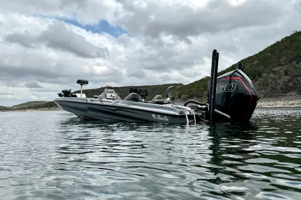 Bass-cat JAGUAR-STS image