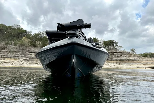 Bass-cat JAGUAR-STS image