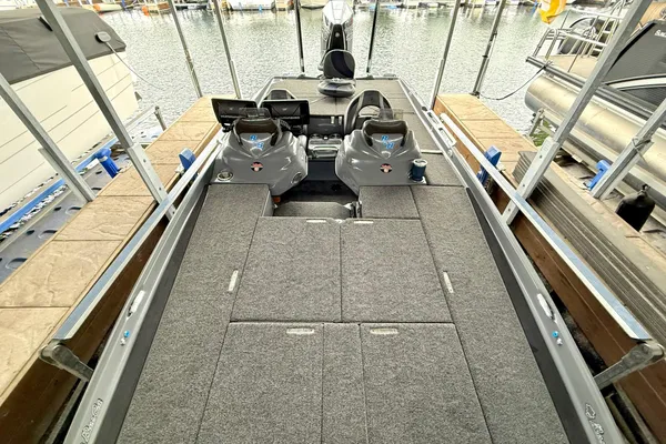 Bass-cat JAGUAR-STS image