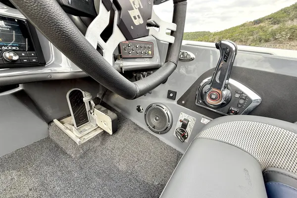 Bass-cat JAGUAR-STS image