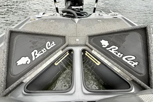 Bass Cat Jaguar STS image