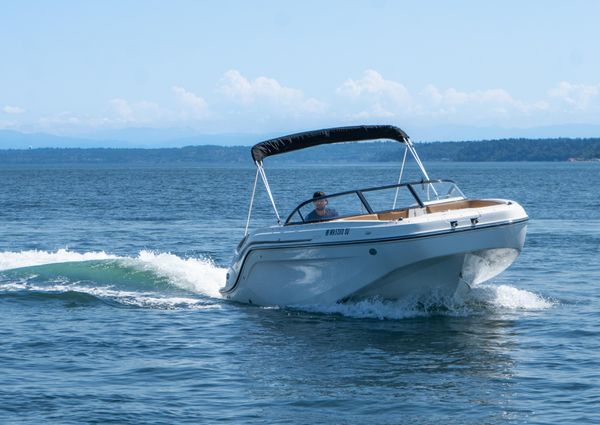 Bayliner DX-2200 image