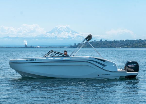 Bayliner DX-2200 image