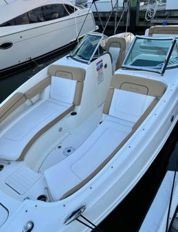 Sea-ray 260-SUNDECK image