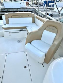 Sea-ray 260-SUNDECK image